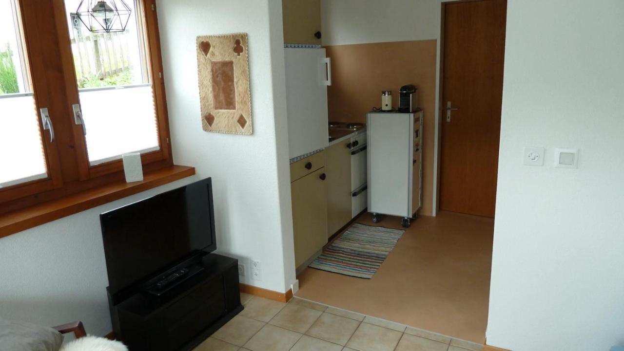 Holzji Apartment Glis Luaran gambar