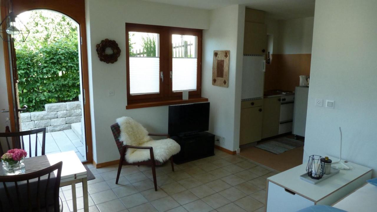 Holzji Apartment Glis Luaran gambar